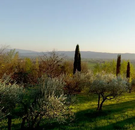 Apart Otel Degli Ulivi 4*