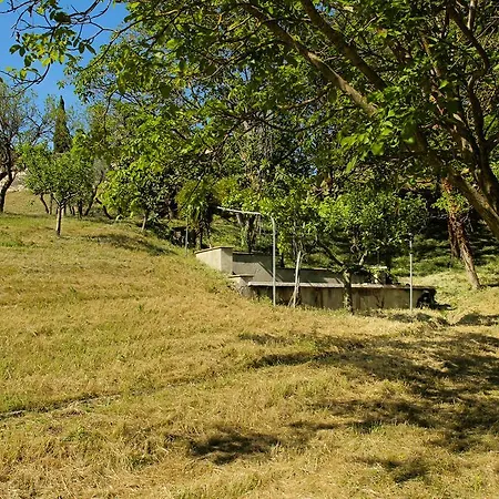 Degli Ulivi 4* Assisi