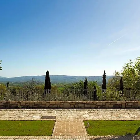 Degli Ulivi