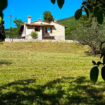 Lägenhetshotell Degli Ulivi