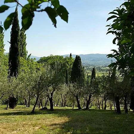 Lägenhetshotell Degli Ulivi