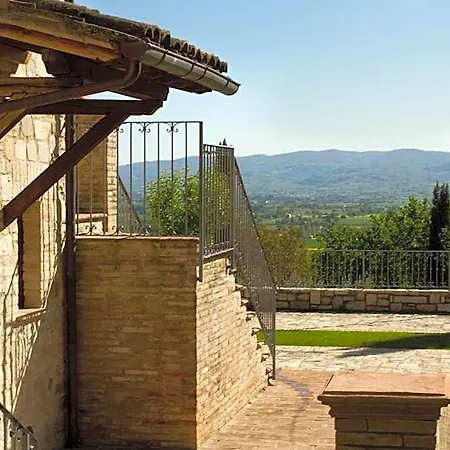 Degli Ulivi