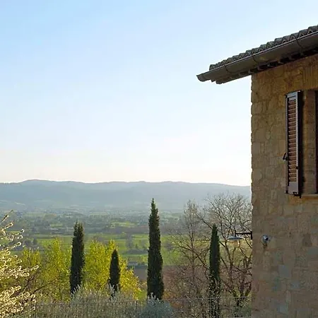 Degli Ulivi