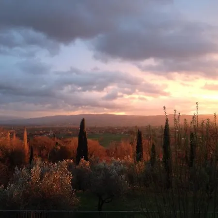 Degli Ulivi 公寓式酒店 4*