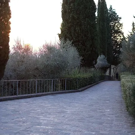 Degli Ulivi 4*