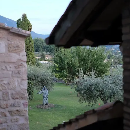Degli Ulivi 4* Asís