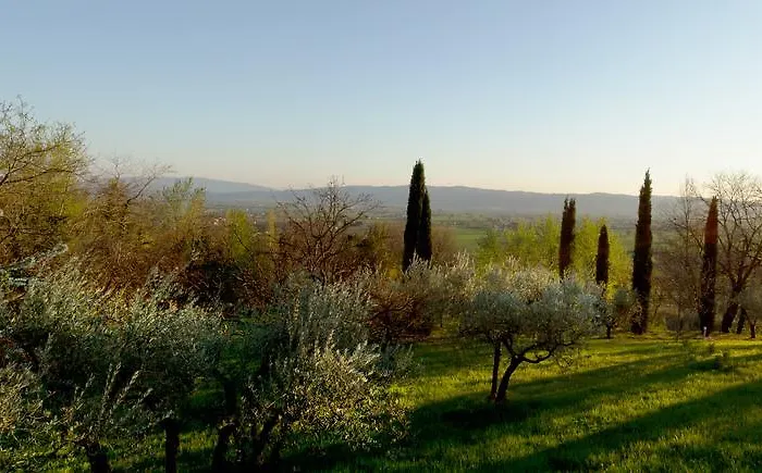 Hotel apartamentowy Degli Ulivi 4*