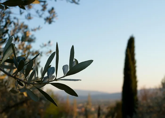 Hotel apartamentowy Degli Ulivi Asyż