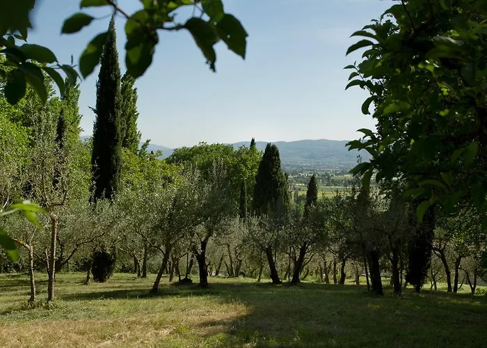 Hotel apartamentowy Degli Ulivi