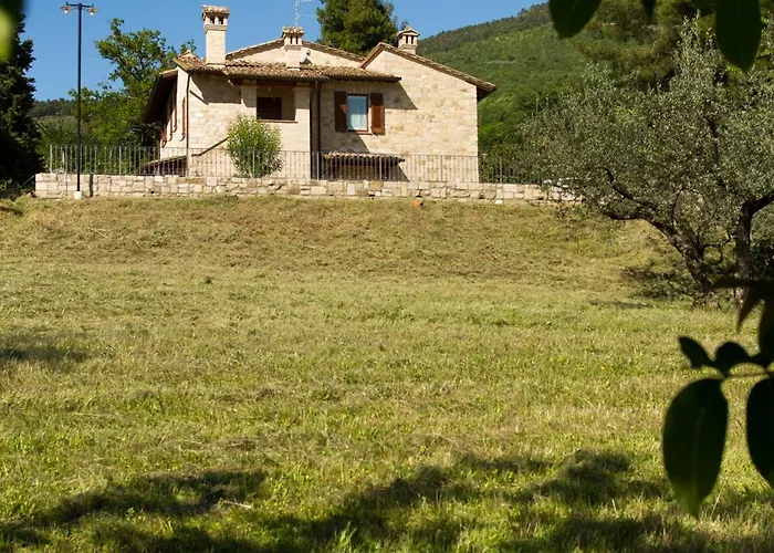 Degli Ulivi Ассизи