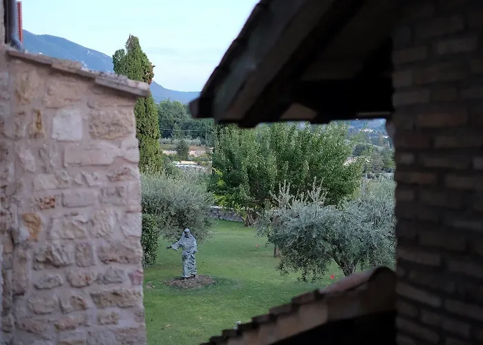 Degli Ulivi 4* Asyż